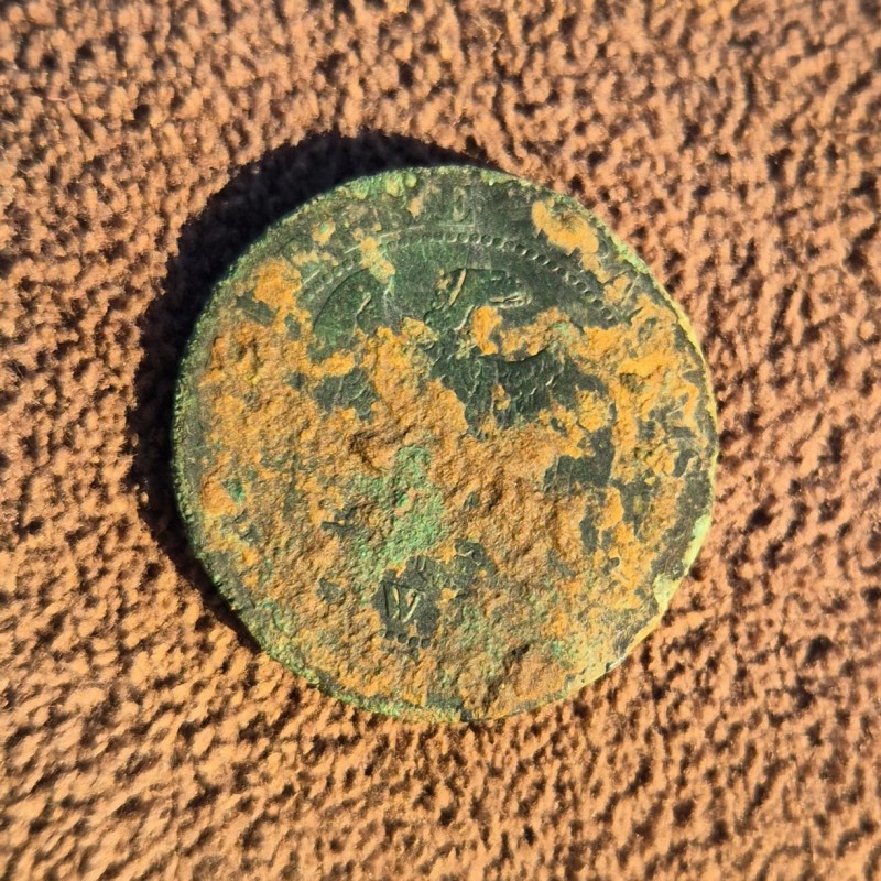 2025-01 Koningslo Keelveld